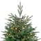 6.5ft. Pre-Lit Hudson Fir Full Artificial Christmas Tree, Warm White LED Lights